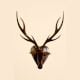 Handcrafted Wood Deer Head Wall Mount